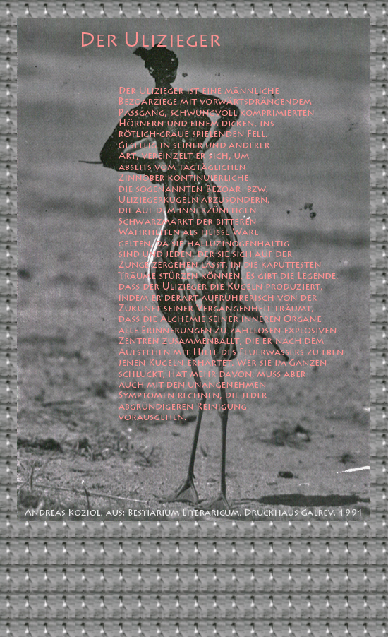 Bild von Juliane Duda mit den Übermalungen von C.M.P. Schleime und den Texten von Andreas Koziol aus seinem Bestiarium Literaricum. Hier „Der Ulizieger“.