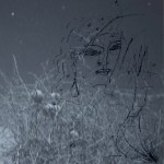 Mashup von Juliane Duda zu dem Buch von Robert Desnos: Die Quellen der Nacht
