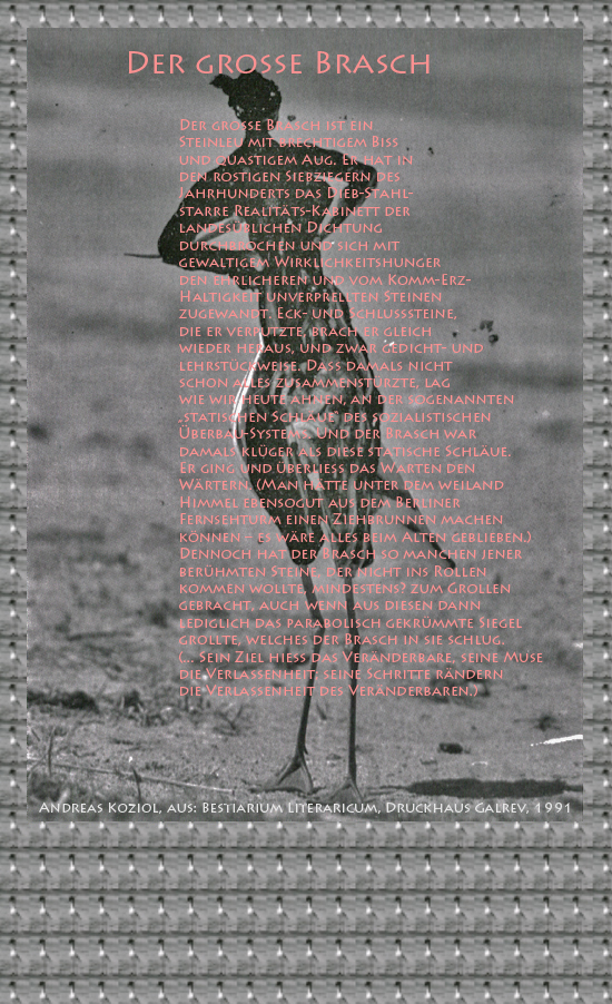 Bild von Juliane Duda mit den Übermalungen von C.M.P. Schleime und den Texten von Andreas Koziol aus seinem Bestiarium Literaricum. Hier „Der große Brasch“.