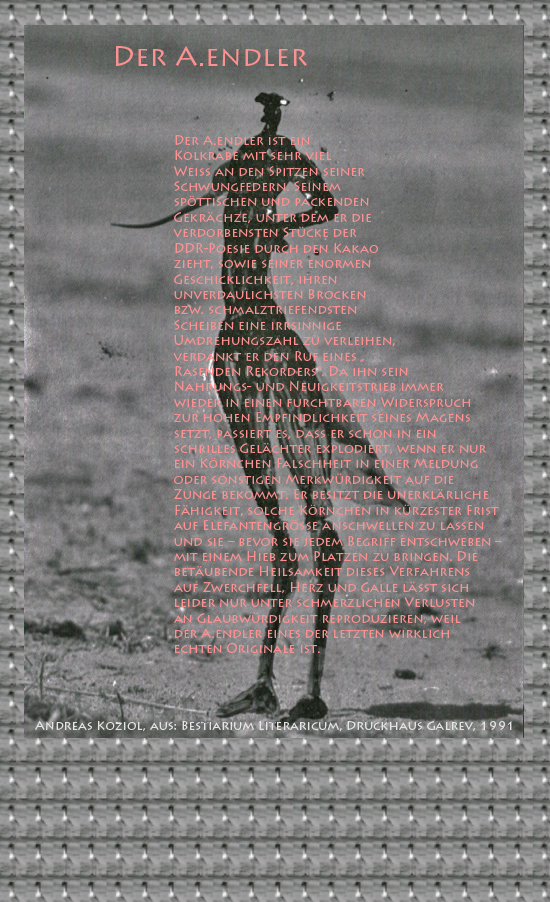 Bild von Juliane Duda mit den Übermalungen von C.M.P. Schleime und den Texten von Andreas Koziol aus seinem Bestiarium Literaricum. Hier „Der A.endler“.
