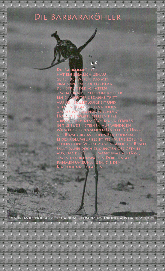 Bild von Juliane Duda mit den Übermalungen von C.M.P. Schleime und den Texten von Andreas Koziol aus seinem Bestiarium Literaricum. Hier „Die Barbaraköhler“.