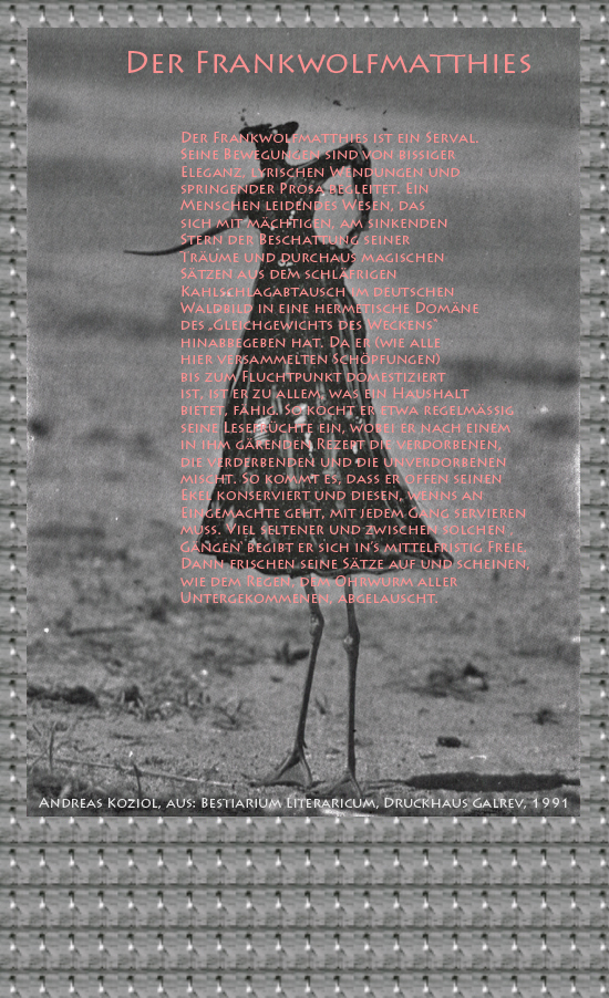 Bild von Juliane Duda mit den Übermalungen von C.M.P. Schleime und den Texten von Andreas Koziol aus seinem Bestiarium Literaricum. Hier „Der Frankwolfmatthies“.