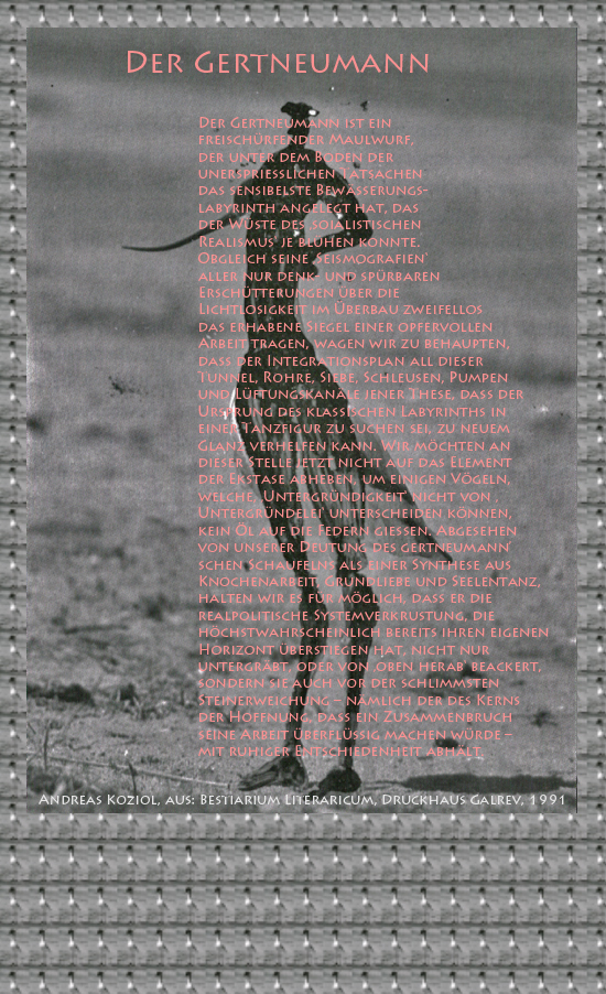 Bild von Juliane Duda mit den Übermalungen von C.M.P. Schleime und den Texten von Andreas Koziol aus seinem Bestiarium Literaricum. Hier „Der Gertneumann“.