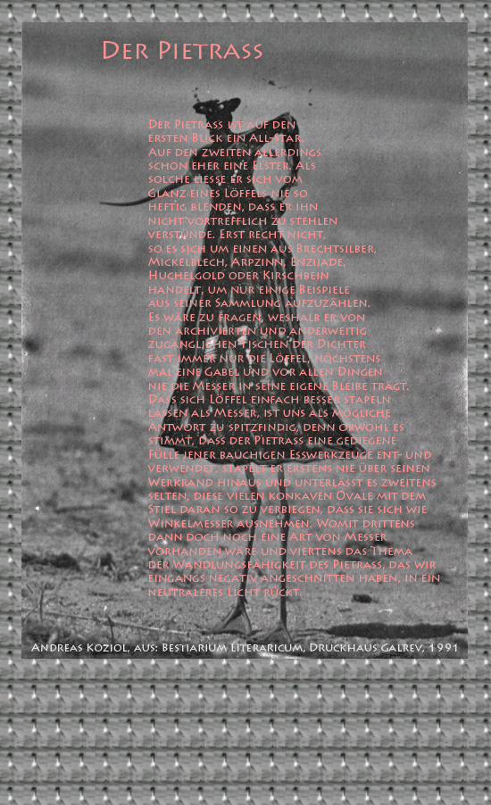Bild von Juliane Duda mit den Übermalungen von C.M.P. Schleime und den Texten von Andreas Koziol aus seinem Bestiarium Literaricum. Hier „Der Pietraß“.