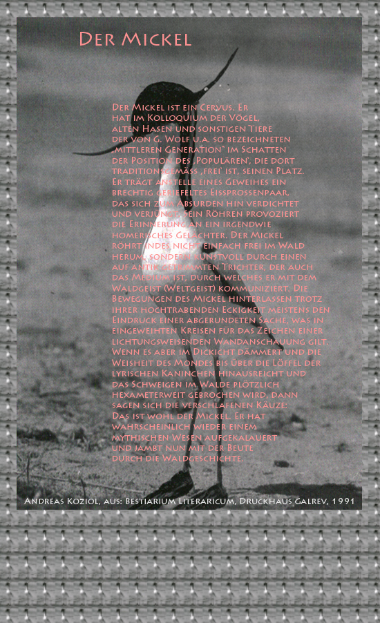 Bild von Juliane Duda mit den Übermalungen von C.M.P. Schleime und den Texten von Andreas Koziol aus seinem Bestiarium Literaricum. Hier „Der Mickel“.