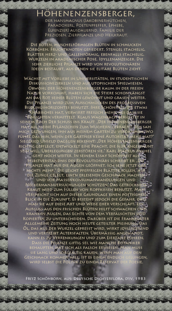 Bild von Juliane Duda mit den Texten von Fritz Schönborn aus seiner Deutschen Dichterflora. Hier „Höhenenzensberger“.