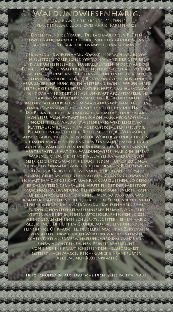 Bild von Juliane Duda mit den Texten von Fritz Schönborn aus seiner Deutschen Dichterflora. Hier „Waldundwiesenharig“.