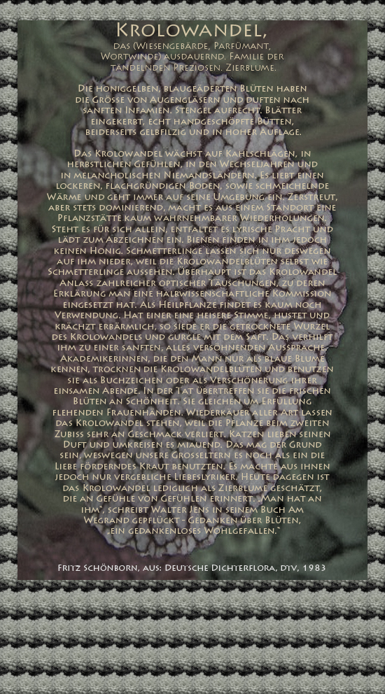 Bild von Juliane Duda mit den Texten von Fritz Schönborn aus seiner Deutschen Dichterflora. Hier „Krolowandel“.