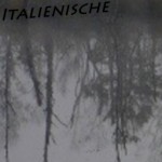 Mashup von Juliane Duda zu dem Buch von Hans Hinterhäuser: Italienische Lyrik im 20. Jahrhundert