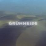 Mashup von Juliane Duda zu dem Buch von Helga M. Novak: Grünheide Grünheide