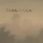 Mashup von Juliane Duda zu dem Buch von Bob Dylan: Tarantula / Tarantel