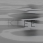 Mashup von Juliane Duda zu dem Buch von Emily Dickinson: Biene und Klee