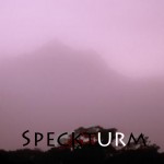 Mashup von Juliane Duda zu dem Buch von Oskar Pastior: Speckturm