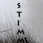 Mashup von Juliane Duda zu dem Buch von Wolfgang Hilbig: STIMME STIMME