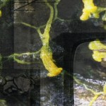 Mashup von Juliane Duda zu dem Buch von Kathrin Schmidt: Poesiealbum 179