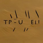 Mashup von Juliane Duda zu dem Buch von Miguel Herz-Kestranek, Konstantin Kaiser und Daniela Strigl (Hrsg): In welcher Sprache träumen Sie?