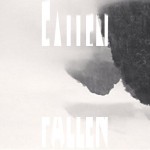 Mashup von Juliane Duda zu dem Buch von Durs Grünbein: Falten und Fallen