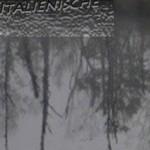Mashup von Juliane Duda zu dem Buch von Christine Wolter (Hrsg.): Italienische Lyrik des 20. Jahrhunderts