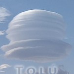 Mashup von Juliane Duda zu dem Buch von SAID: ruf zurück die vögel