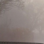 Mashup von Juliane Duda zu dem Buch von Ossip Mandelstam: Die beiden Trams