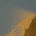 Mashup von Juliane Duda zu dem Buch von Carlos Rincon (Hrsg.): Metamorphose der Nelke