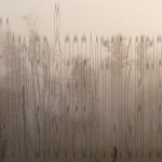 Mashup von Juliane Duda zu dem Buch von Melchior Vischer: Unveröffentlichte Briefe und Gedichte