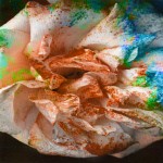 Mashup von Juliane Duda zu dem Buch von Gottfried Benn / Thomas Florschuetz: Blumen