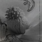 Mashup von Juliane Duda zu dem Buch von Ingeborg Teuffenbach: Christine Lavant
