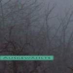 Mashup von Juliane Duda zu dem Buch von Peter Härtling: Ausgewählte Gedichte 1953–1979