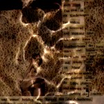 Mashup von Juliane Duda zu dem Buch von Herta Müller: Der Wächter nimmt seinen Kamm