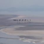 Mashup von Juliane Duda zu dem Buch von Stefaan Van den Bremt: Stem uit het Laagland / Stimme aus dem tiefen Land