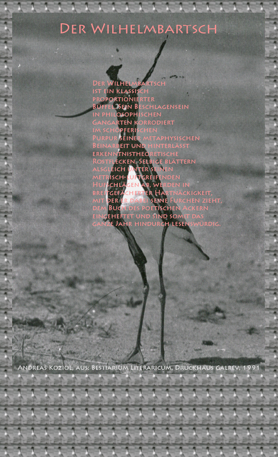 Bild von Juliane Duda mit den Übermalungen von C.M.P. Schleime und den Texten von Andreas Koziol aus seinem Bestiarium Literaricum. Hier „Der Wilhelmbartsch“.