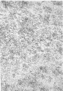 Regenblatt, Z 199, 1960, 28,6 x 21 cm