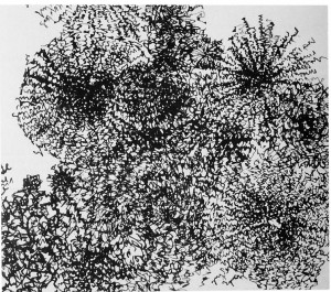 Lichensatz II, Z 147, 1959, 9 x 10 cm