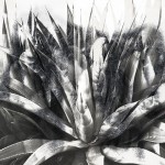 Mashup von Juliane Duda zu dem Buch von Parujr Sewak: Poesiealbum 223