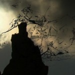 Mashup von Juliane Duda zu dem Buch von Marin Sorescu: Poesiealbum 197