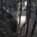 Mashup von Juliane Duda zu dem Buch von Volker Ebersbach: Poesiealbum 168