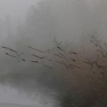Mashup von Juliane Duda zu dem Buch von Rainer Kirsch: Das Wort und seine Strahlung