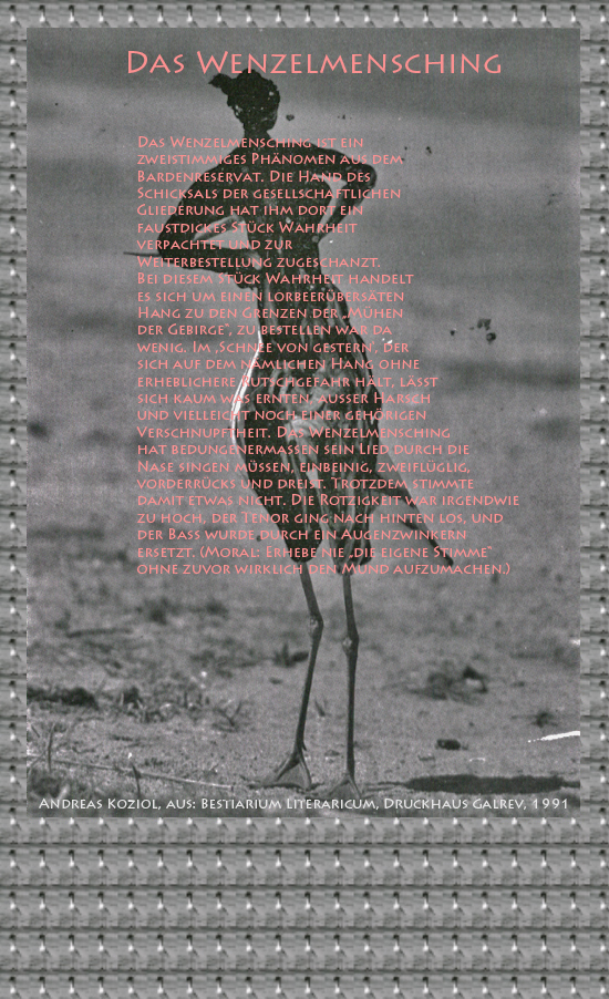 Bild von Juliane Duda mit den Übermalungen von C.M.P. Schleime und den Texten von Andreas Koziol aus seinem Bestiarium Literaricum. Hier „Das Wenzelmensching“.