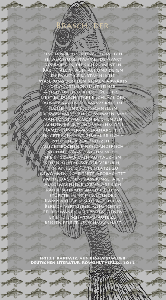 Bild von Juliane Duda mit den Zeichnungen von Klaus Ensikat und den Texten von Fritz J. Raddatz aus seinem Bestiarium der deutschen Literatur. Hier „Brasch, der“.