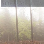 Mashup von Juliane Duda zu dem Buch von Paul Bogaert: Der Soft-Slalom