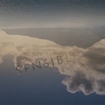 Mashup von Juliane Duda zu dem Buch von Reiner Kunze: Sensible Wege