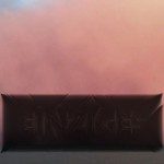 Mashup von Juliane Duda zu dem Buch von Reiner Kunze: eines jeden einziges leben