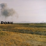 Mashup von Juliane Duda zu dem Buch von Reiner Kunze (Hrsg.): Über, o über dem Dorn