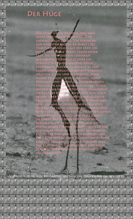 Bild von Juliane Duda mit den Übermalungen von C.M.P. Schleime und den Texten von Andreas Koziol aus seinem Bestiarium Literaricum. Hier „Der Hüge“.