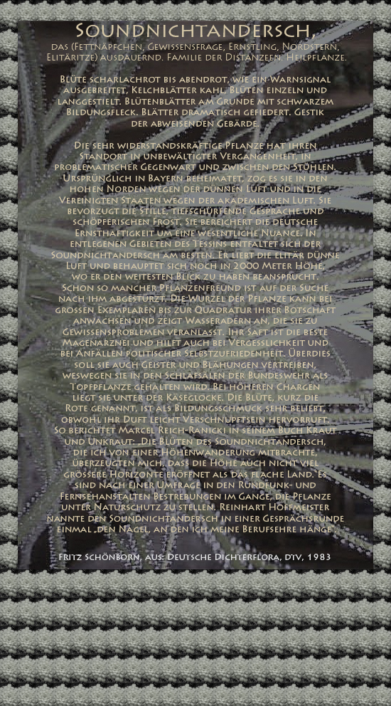 Bild von Juliane Duda mit den Texten von Fritz Schönborn aus seiner Deutschen Dichterflora. Hier „Soundnichtandersch“.