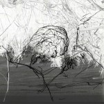 Mashup von Juliane Duda zu dem Buch von Jürgen Rennert: Hoher Mond