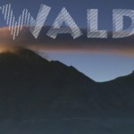 Mashup von Juliane Duda zu dem Buch von Adonis: Der Wald der Liebe in uns