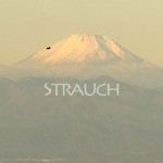 Mashup von Juliane Duda zu dem Buch von Orsolya Kalász: Alles, was wird, will seinen Strauch