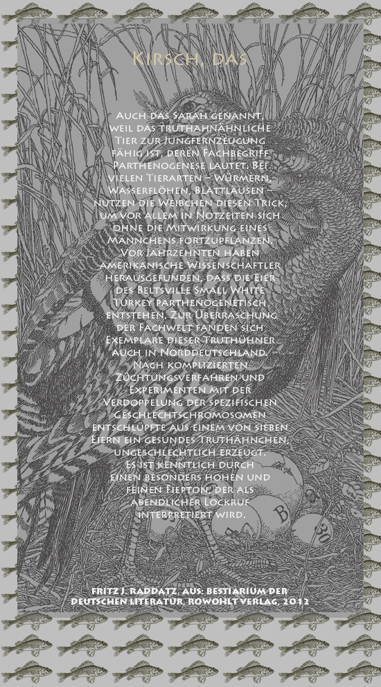 Bild von Juliane Duda mit den Zeichnungen von Klaus Ensikat und den Texten von Fritz J. Raddatz aus seinem Bestiarium der deutschen Literatur. Hier „Kirsch, das“.